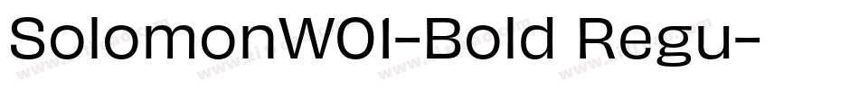 SolomonW01-Bold Regu字体转换